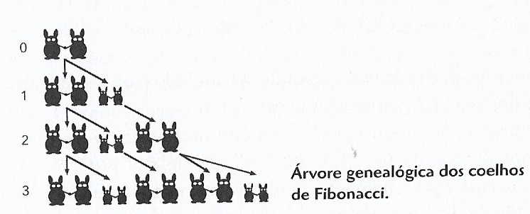 Os coelhos de Fobonacci